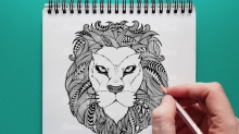 Dibujo-leon